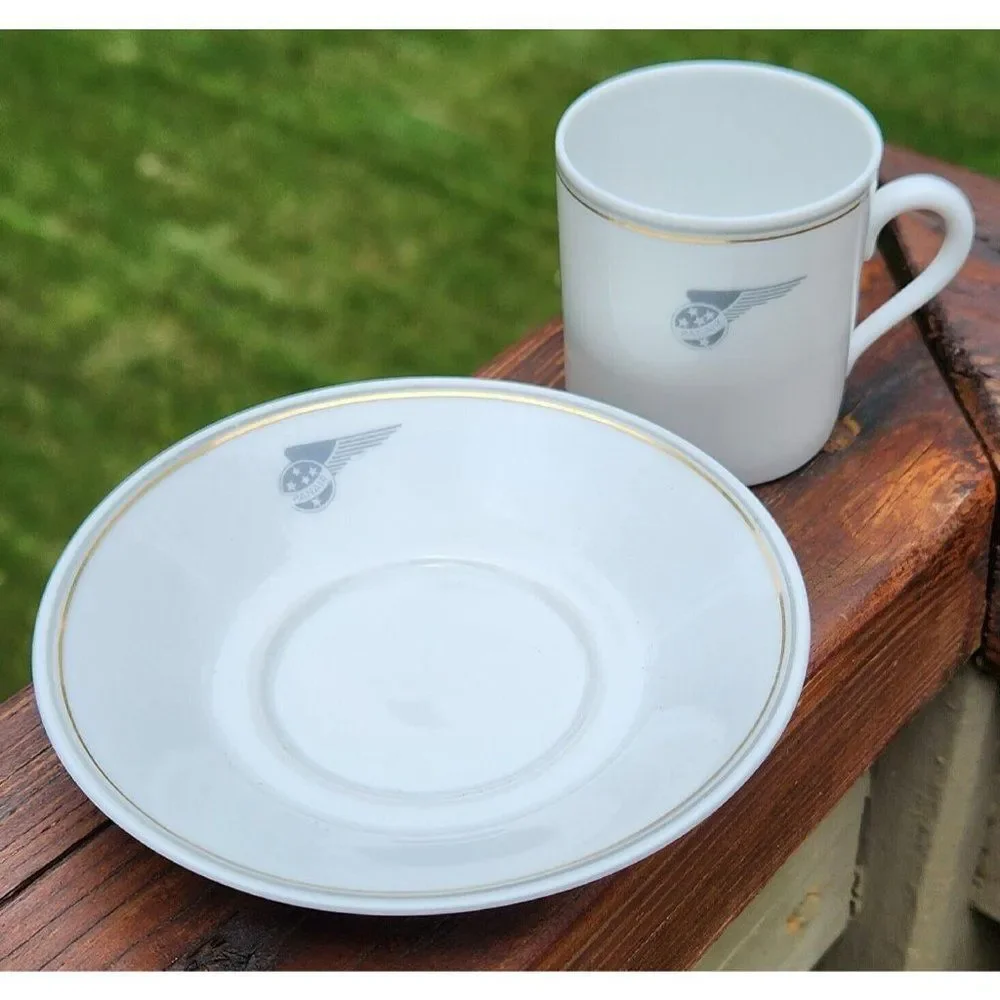 RARE Rosenthal Porcelain Panair Wing Logo Brazil Airline Demitasse Cup & Saucer